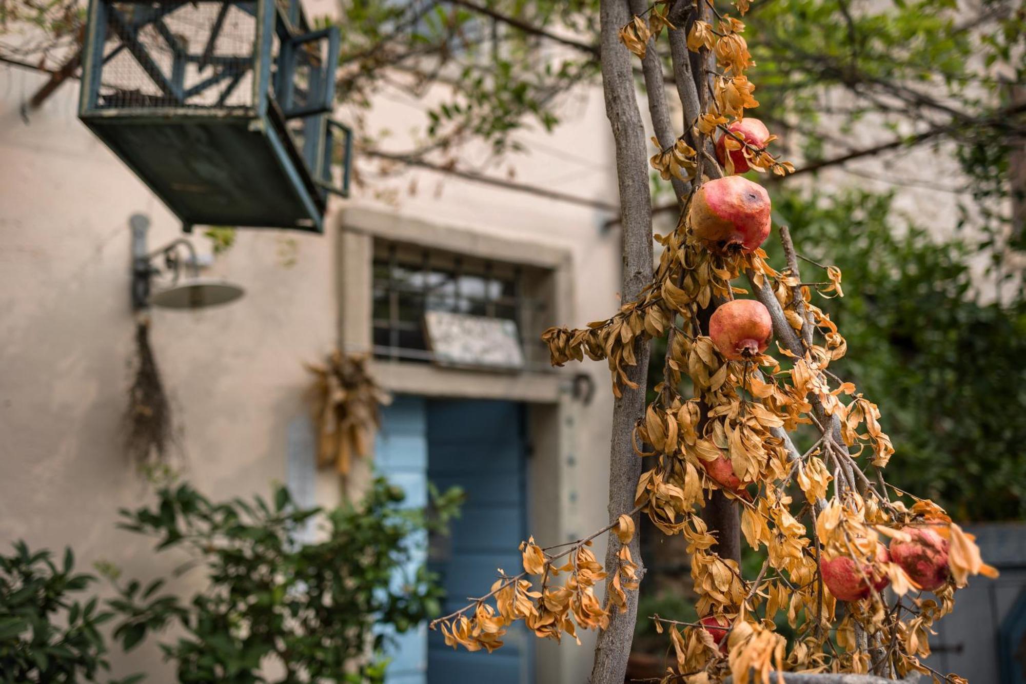 B&B Corte Del Mincio Monzambano Εξωτερικό φωτογραφία